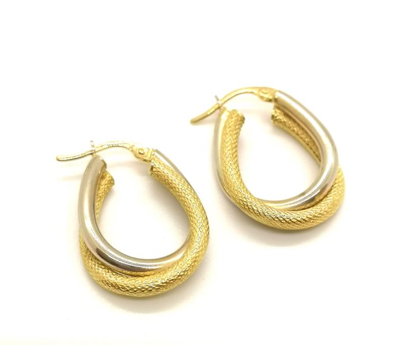 Coppia orecchini due ori  750/1000 a cerchio semisatinati 